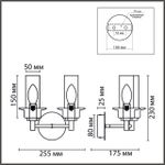 6554/2W CLASSI LN25 бронза/коньячный/металл/стекло Бра E14 2*40W 220V MADONNA