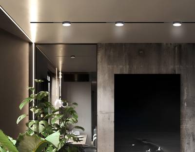 Светильник светодиодный диммируемый для шинопровода Magnetic 220V GL1381 BK черный IP20 15W 3000K-6400K 120° D115/232*115*77 (Без ПДУ)