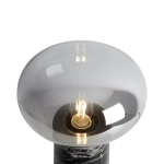 Настольный светильник FR5550TL-01MR, E27х1 IP20. TM Maytoni