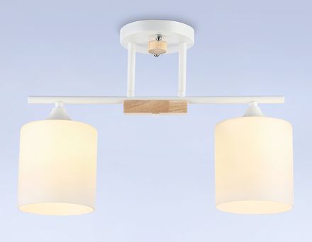 Светильник подвесной TR9541/2 WH/FR белый/белый матовый E27/2 max 40W 435*120*280