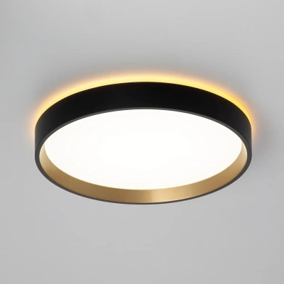 Citilux ETALON CL750241 LED Светильник с подсветкой Чёрный+Золото