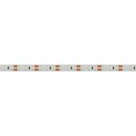 Светодиодная лента RTW 2-5000SE 12V Blue 2x (3528, 600 LED,LUX) (Arlight, 9.6 Вт/м, IP65)