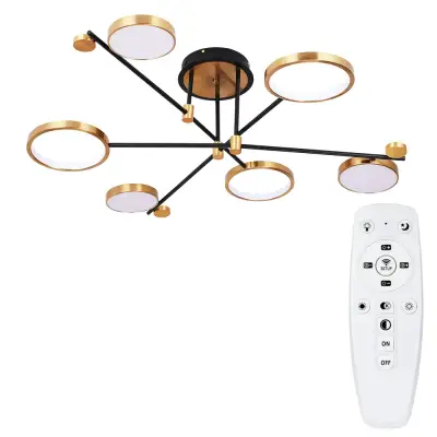 Потолочная люстра Arte Lamp HOLLY A1364PL-6PB, 1хLED