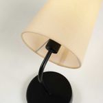 Настенный светильник Pfefferling 2364-1W. ТМ Favourite