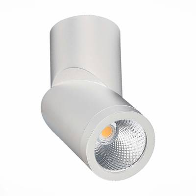 ST650.532.10 Светильник потолочный Белый LED 1*10W 3000K 800Lm Ra&gt;90 38° IP44 D60xH175 165-265V