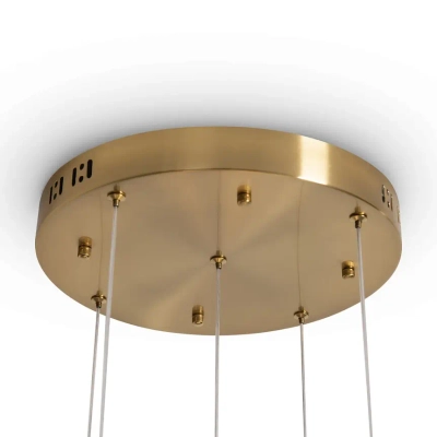 Подвесной светильник Flower FR5579PL-L40BS, LED. TM Maytoni