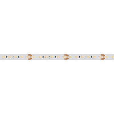 Светодиодная лента MICROLED-5000 24V White-CDW 8mm (2216, 240 LED/m, Bipolar) (Arlight, 9.6 Вт/м, IP20)