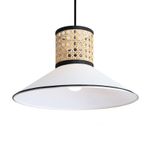 Подвесной светильник Mixture FR5483PL-01B3, E27х1. TM Maytoni