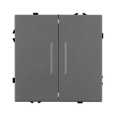 Механизм выключателя двухклавишный непроходной LED SWT-NOBE-MK02-SFPL-L-GR (230V, 10A) (Arlight, -)