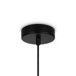 Подвесной светильник Gatsby FR5232PL-04B, G9х4. TM Maytoni