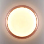 7778/ELN COLOR SN 112 Светильник пластик/белый/розовый LED 76Вт 3000/4000/6000К D500 IP43 CCT PORTMAN