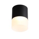 ST100.402.15 Светильник потолочный Черный LED 1*15W 3000K 1 170Lm Ra&gt;80 120° D118xH150 170-240VV