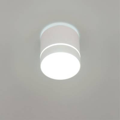 Citilux Борн CL745020N LED Светильник накладной Белый