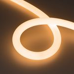 Светодиодная лента герметичная MOONLIGHT-SIDE-FP-X1088-D25mm 24V Warm2300 (20 W/m, IP65, 5m, wire x1) (Arlight, Вывод кабеля боковой)