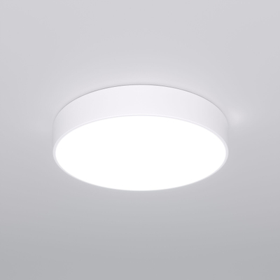 Потолочный светодиодный светильник 90319/1 белый, LED