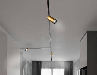 Светильник светодиодный диммируемый для шинопровода Magnetic 220V GL1233 GD золото IP20 24W 3000K-6400K 36° D65*140 (Без ПДУ)