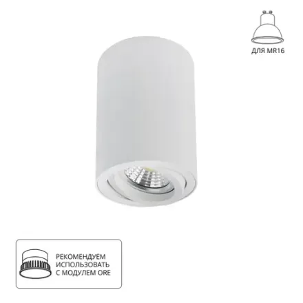 Точечный накладной светильник Arte Lamp SENTRY A1566PL-1WH, 1хGU10