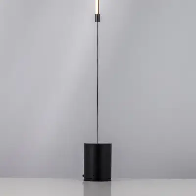 738617 Светильник подвесной UNDINE 10W LED 561LM 120G ЧЕРНЫЙ 3000K Lightstar