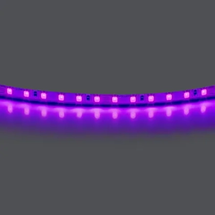 420518 Лента LIGHTSTAR LED 24V 12W 120leds/M 1600 LM/M фиолетовый IP20 1шт = 5м