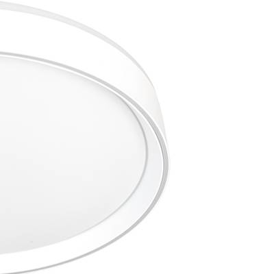 Citilux BOSS CL751350G LED RGB Светильник с пультом Белый
