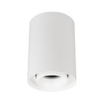 Светильник SP-FOCUS-R86-10W Day4000 (WH, 50 deg, 230V) (Arlight, IP54 Металл, 5 лет)