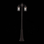 SL080.425.02 Светильник уличный наземный ST-Luce Темный кофе/Прозрачный, Темный кофе E27 2*100W
