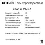 Citilux MEGA CL752452G LED RGB Светильник с пультом Белый+Клён