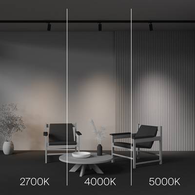 Трековый светильник Focus Led Trinity 2700-5000K 12Вт 36°, TR197-3-12WCCT-M-B. TM Maytoni