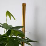 Настенный светильник Greenery 4050-2W. ТМ Favourite