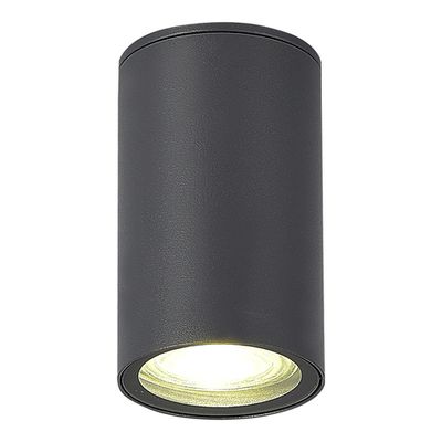 SL9010.712.01 Светильник уличный потолочный ST-Luce серый GU10 1*50W