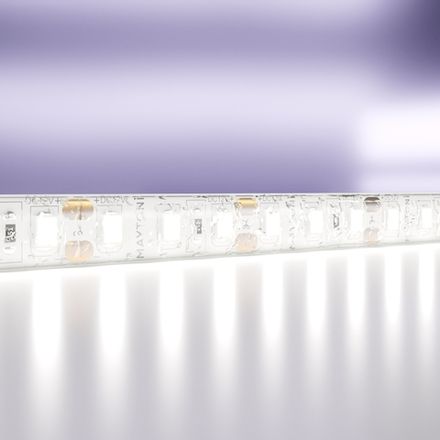 Светодиодная лента 12В 2835 14,4Вт/м 6000K 5м IP65, 10119. TM Maytoni