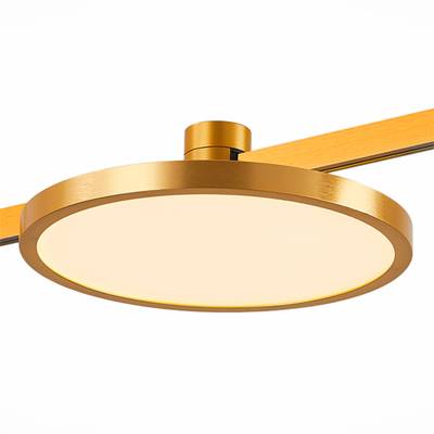 ST818.206.12 Магнитный трековый светильник FARM Золотистый LED 1*10W 3000K 520Lm Ra90 120 IP20 D168xH54 24V