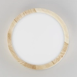 Citilux Бейсик CL738122N LED Светильник накладной Клён