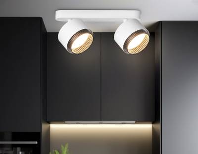 Светильник накладной TN71285/2 WH/BK белый/черный GX53/2 max 12W 270*95*137