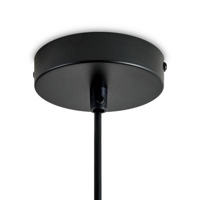 Подвесной светильник Alzare FR5595PL-01B1, E27х1. TM Maytoni