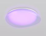 Светильник светодиодный RGB с пультом  FZ1610 FR матовый IP20 40W 3000-6500K+RGB 410*100 (ПДУ ИК)