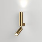 Настенный светодиодный светильник с поворотным механизмом 40020/1 LED латунь, LED