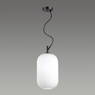 4751/1 PENDANT ODL21 411 белый/черный Подвес E27 60W ROOFI
