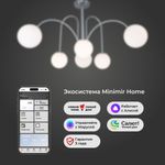 Умная потолочная люстра с плафонами 30177/6 хром