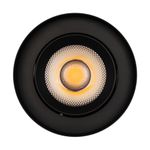 Светильник SP-FOCUS-R132-24W Warm3000 (BK, 36 deg, 230V) (Arlight, IP54 Металл, 5 лет)