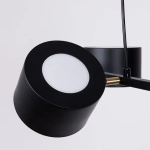 Люстра на штанге Arte Lamp SEBASTIAN A7051SP-4BK, 4хE14