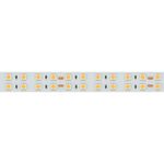Светодиодная лента RT-B144-19mm 24V White6000 (34.4 W/m, IP20, 5060, 5m) (Arlight, Открытый)