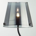 6570/1T MODERNI LN25 черный/дымчатый/металл/стекло Настольная лампа G9 1*20W 220V SMOKY