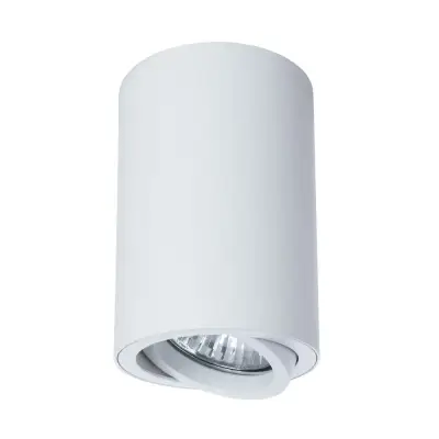 Точечный накладной светильник Arte Lamp SENTRY A1560PL-1WH, 1хGU10