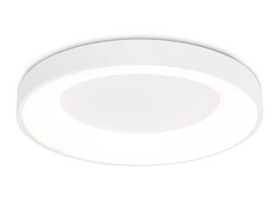 Потолочный светодиодный светильник FZ1401 WH белый IP20 48W 3000K-6500K D500*50 (ПДУ ИК)