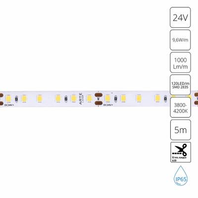 Светодиодная лента 24V 9,6W/m 4000К 5м Arte Lamp AQUA TAPE A2412008-05-4K, LED