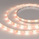 Светодиодная лента RTW-SE-B60-10mm 24V RGBW-Day (14.4 W/m, IP65, 5060, 5m) (Arlight, Открытый)
