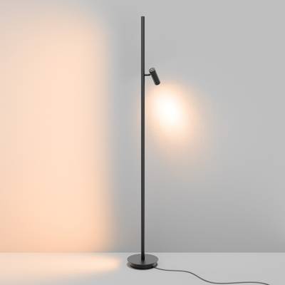Напольный светильник (торшер) Thin 3000К 14Вт, MOD395FL-L28B3K. TM Maytoni