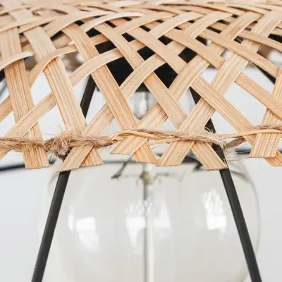 Подвесной светильник Arte Lamp WOODSTOCK A7061SP-1BK, 1хE27