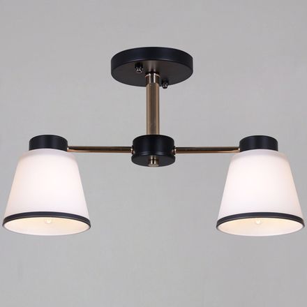 30560-0.3-02 BK+FG светильник потолочный